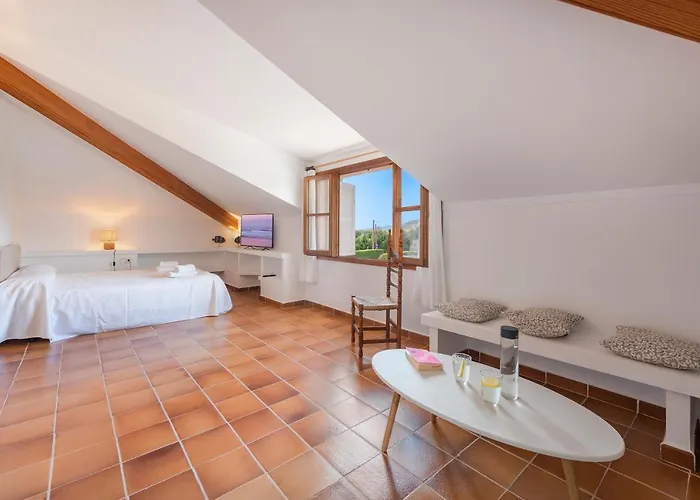 Eu Figueral By Js * Port de Pollença